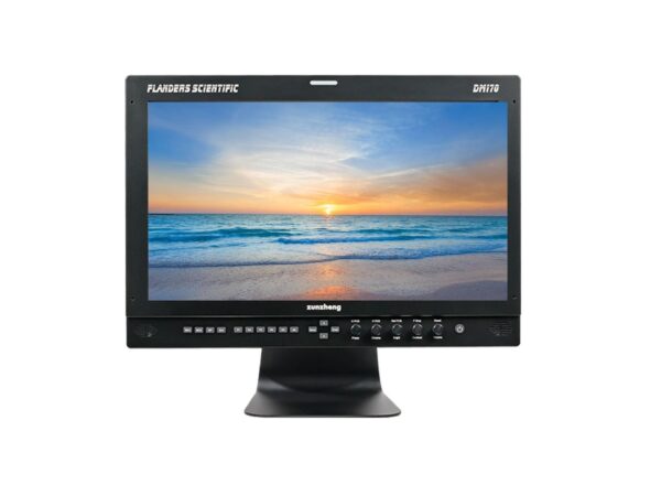 Flanders Scientific DM170 17''